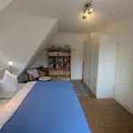 Haus Wikinger *